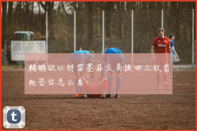 鹈鹕欲以特雷墨菲交易换回三枚首轮签你怎么看
