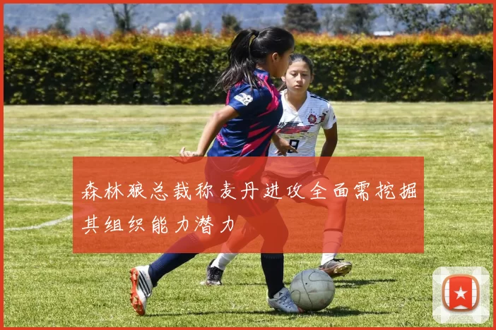 森林狼总裁称麦丹进攻全面需挖掘其组织能力潜力